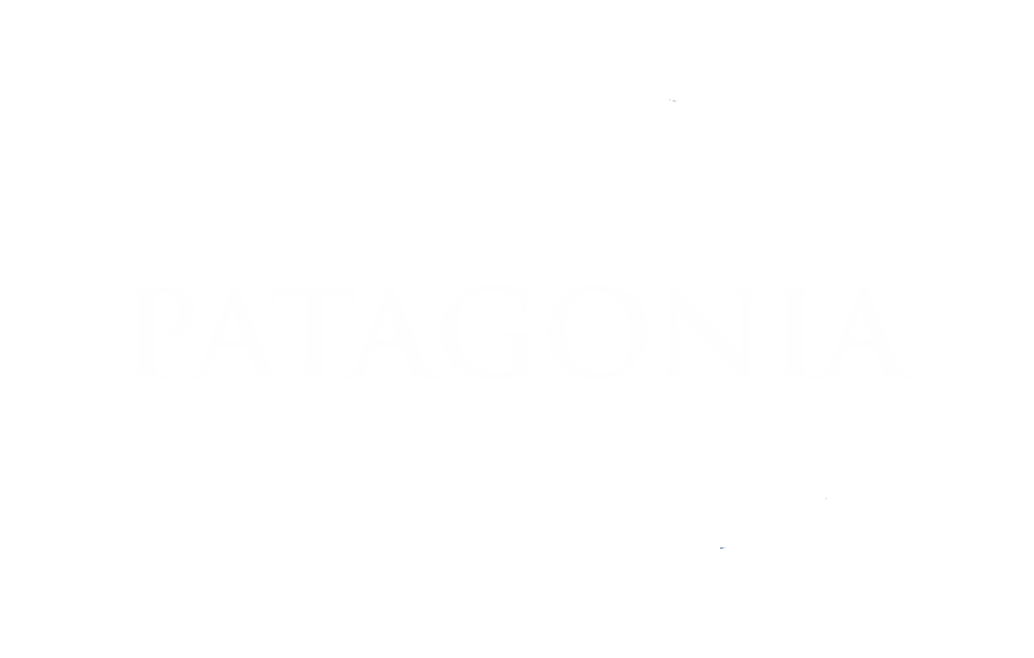 Patagonia Logo