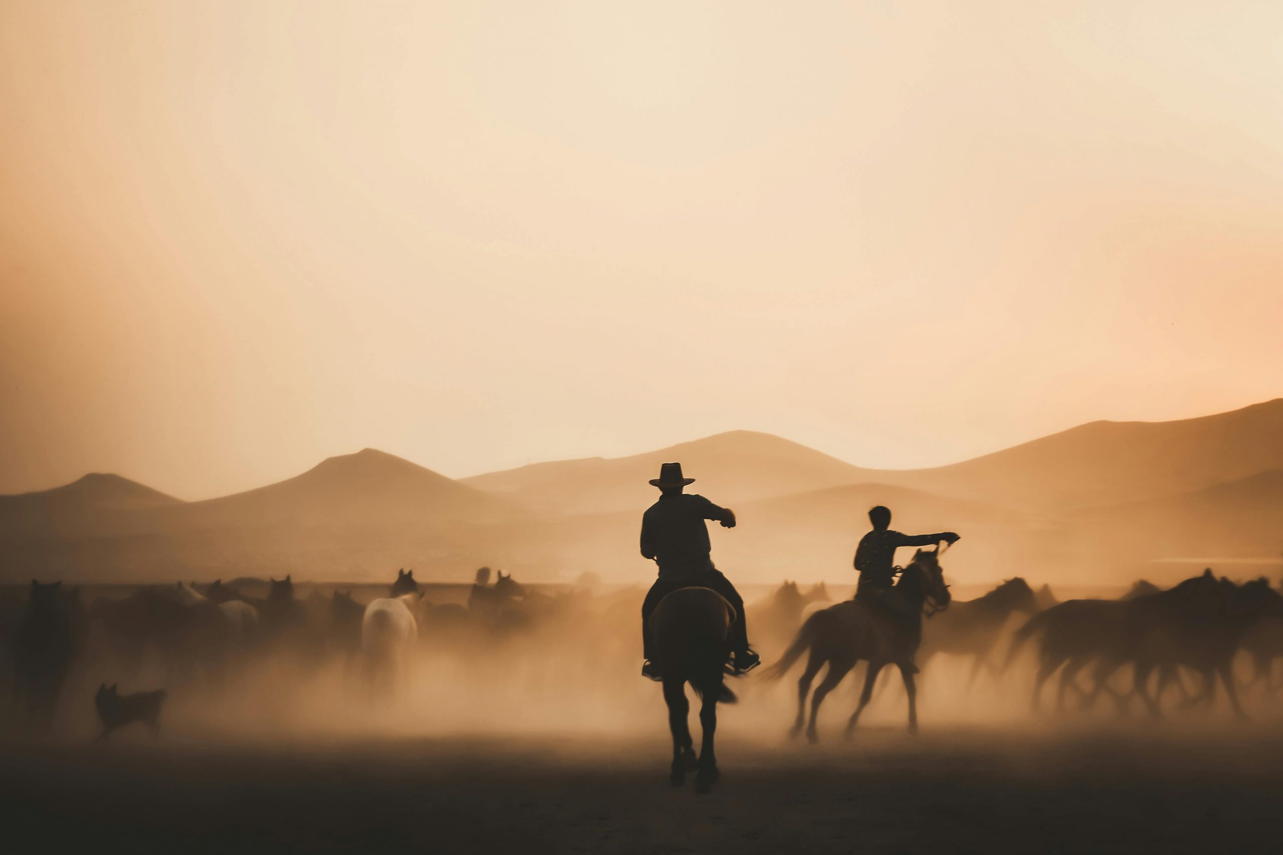 Idaho Cowboys in Garden Valley