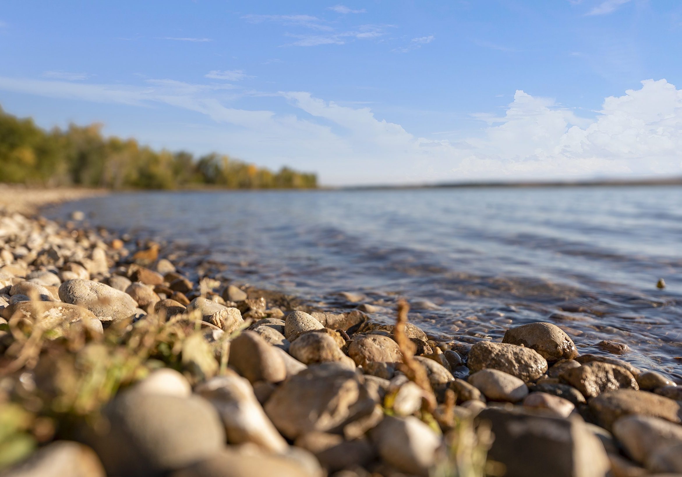 Rocky shore of Lake Lowell with water close up detail shot with blurred trees and shoreline in background