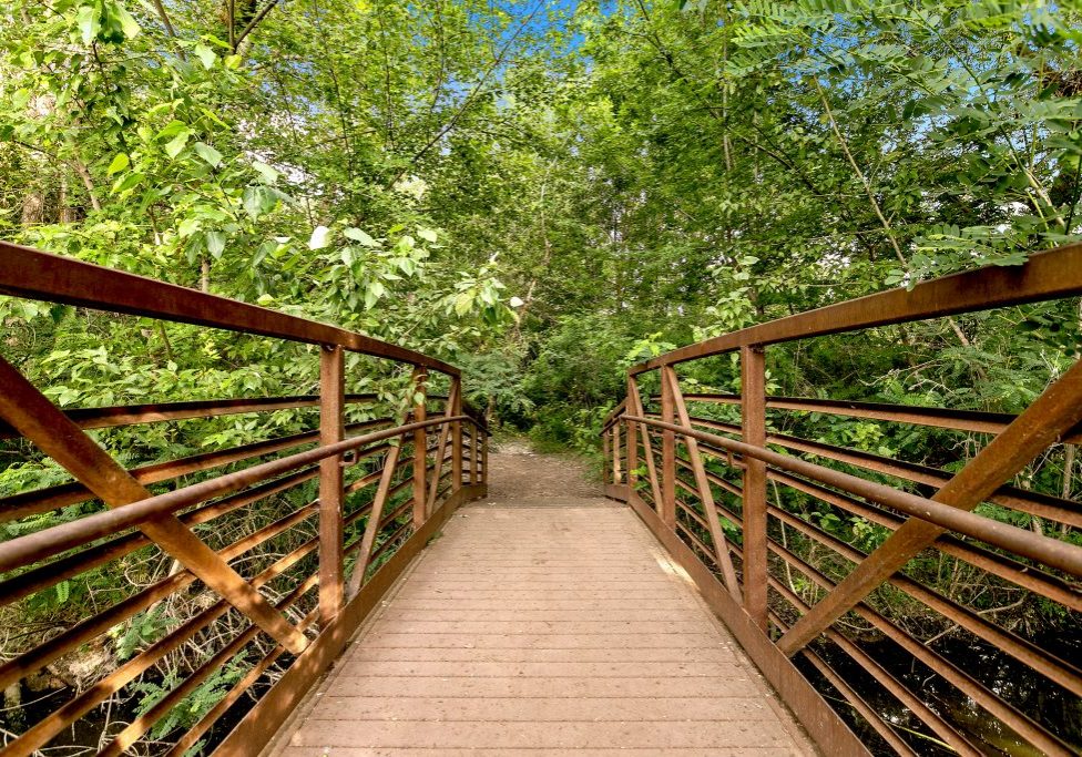 star river walk red bridge and walking path into natural foliage