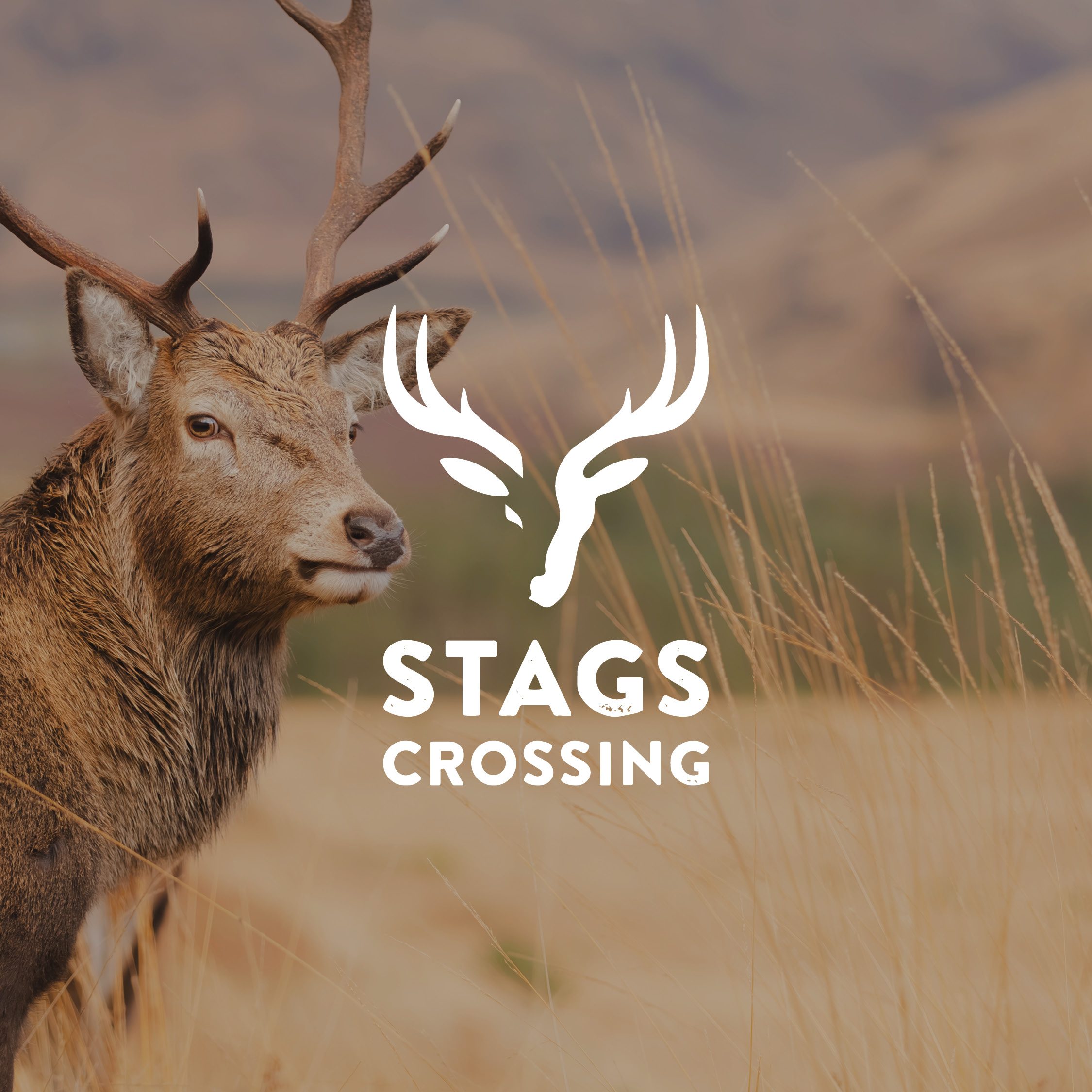 Stags Crossing Community Thumbnail