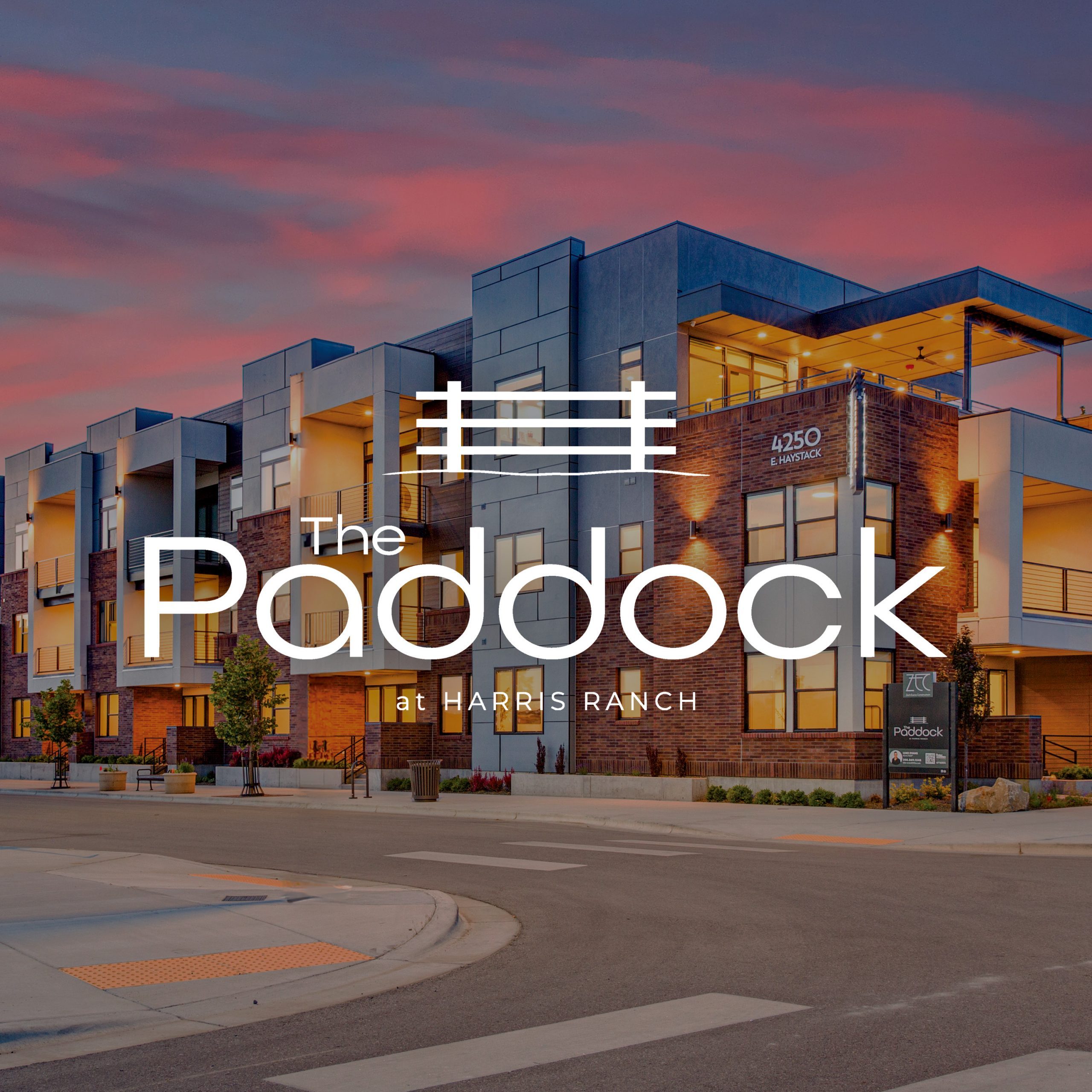 The Paddock Community Thumbnail