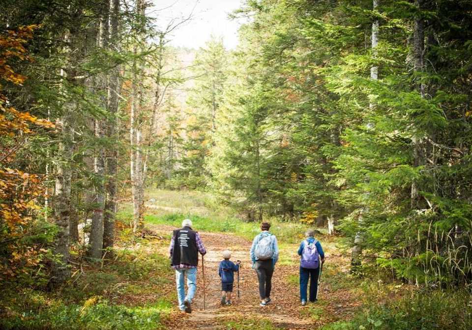 Family hiking through the forest down a two track path donnelly idaho