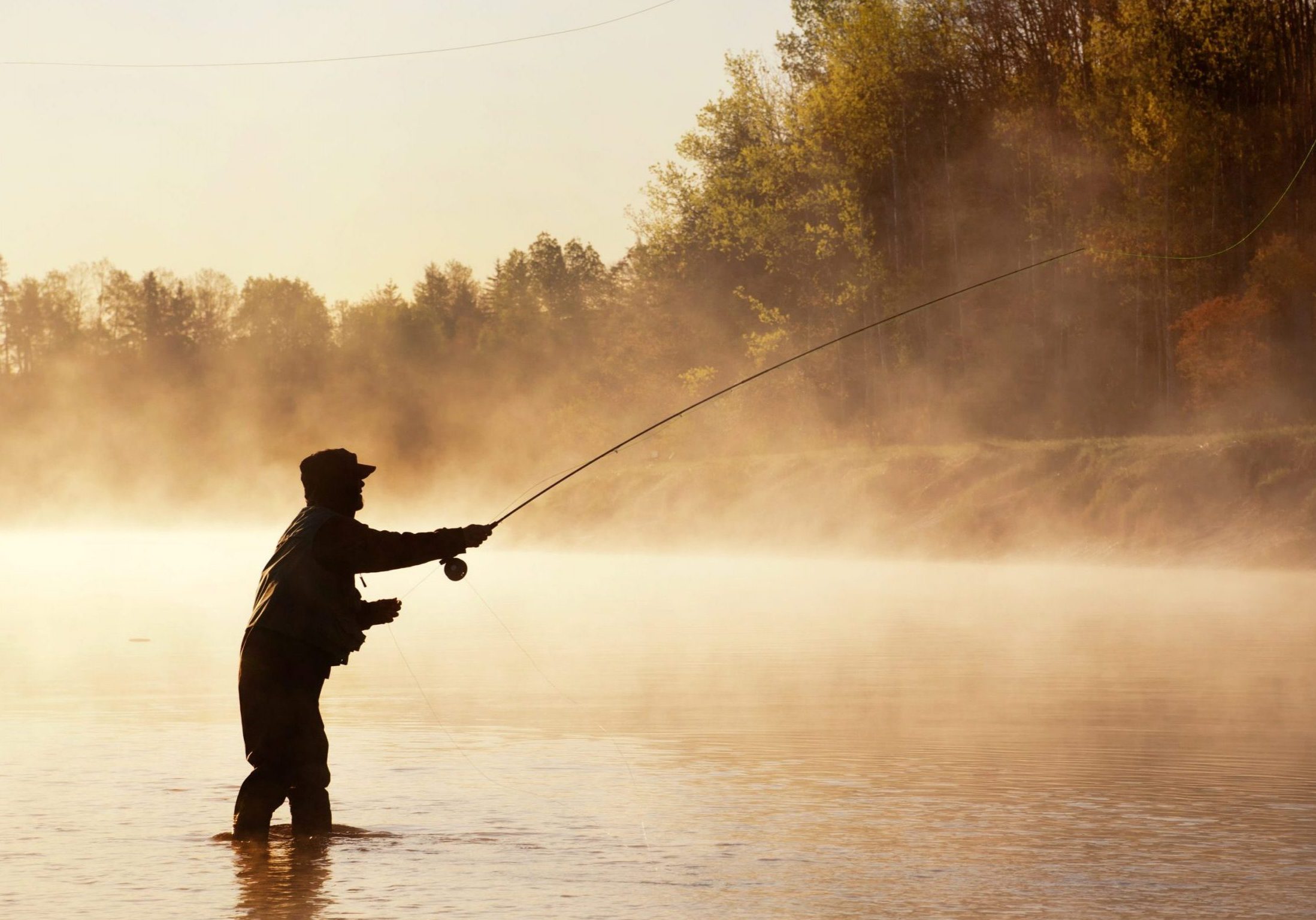 payette river, fishing